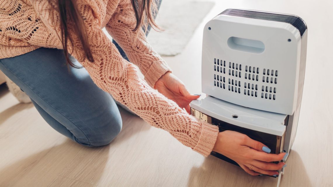What Are the Benefits of Buying a Dehumidifier?